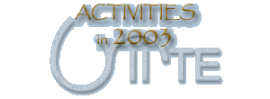 text - activities in 2003